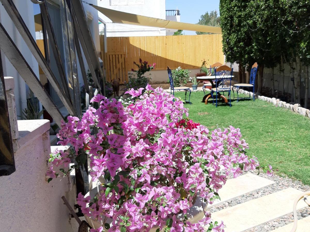 Villa D60 沙姆沙伊赫 外观 照片